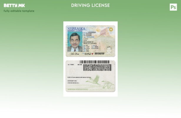 Модерен стил на САД Небраска возачка дозвола присутен шаблон